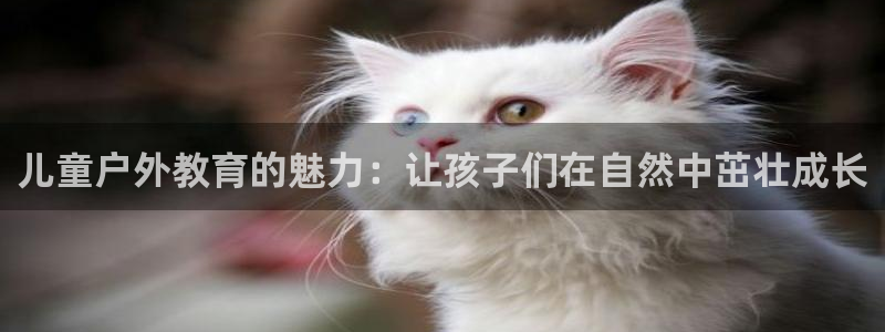 FH至尊娱乐注册