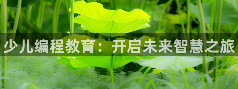 FH至尊出问题了