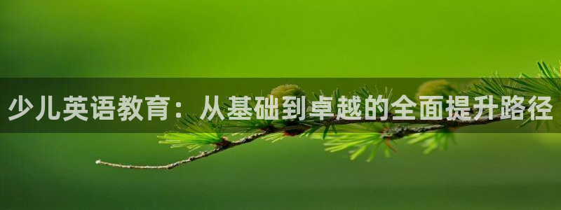 fh至尊正规吗