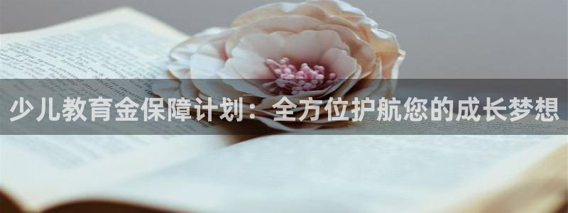 FH至尊平台怎样