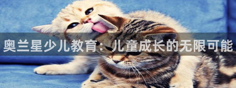 fh至尊平台坑人