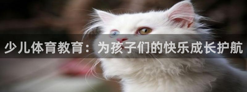 fh至尊经典