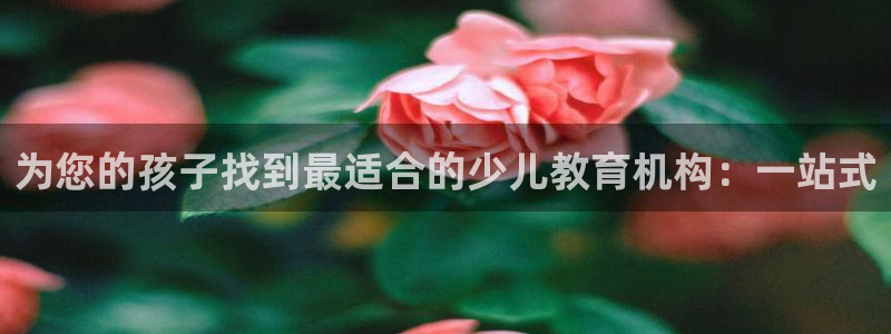 fh至尊正规吗