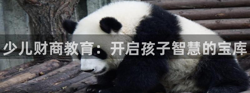 fh至尊是老凤凰平台吗