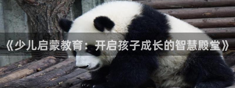 fh至尊为什么不更新了