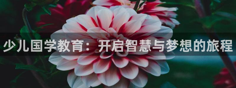 fh至尊黑不黑