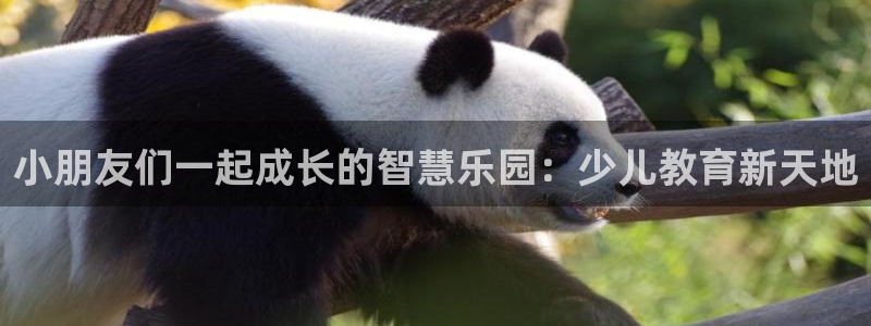 fh至尊游戏代理
