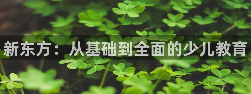 fh至尊品牌介绍