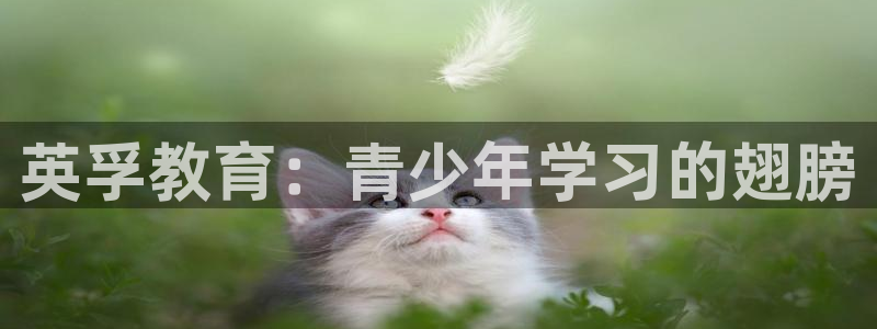 fh凤凰至尊1950