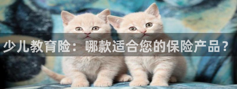 FH至尊娱乐下载二维码
