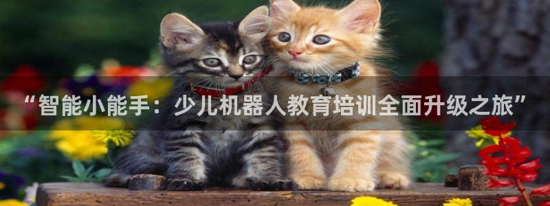 fh至尊是黑台子吗