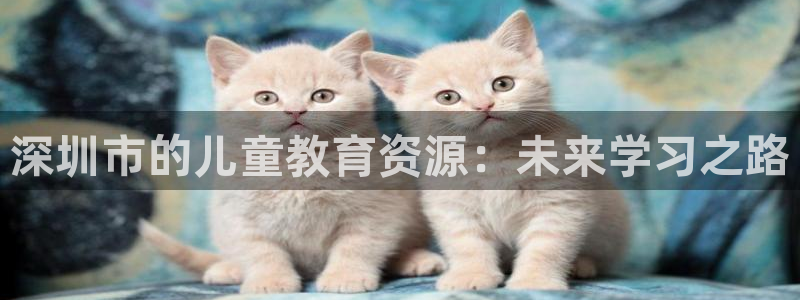 fh至尊是不是假的