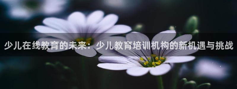 fh至尊在哪可以下载