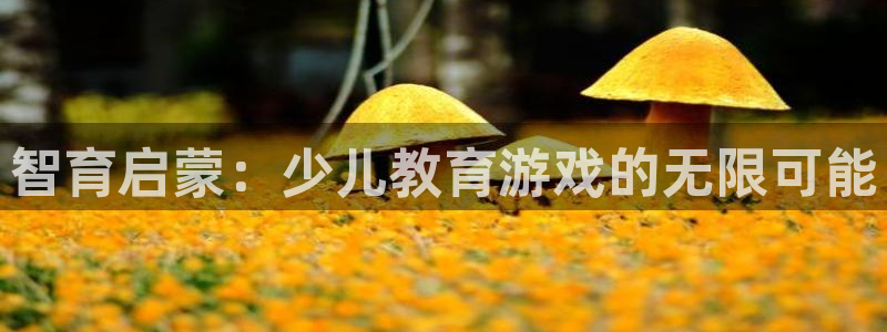 fh至尊凤凰平台下载