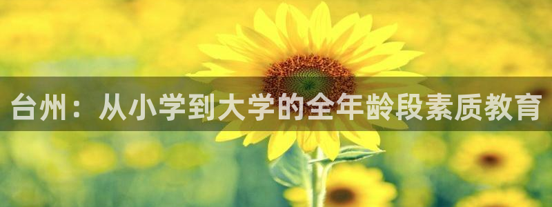 fh至尊是什么牌子