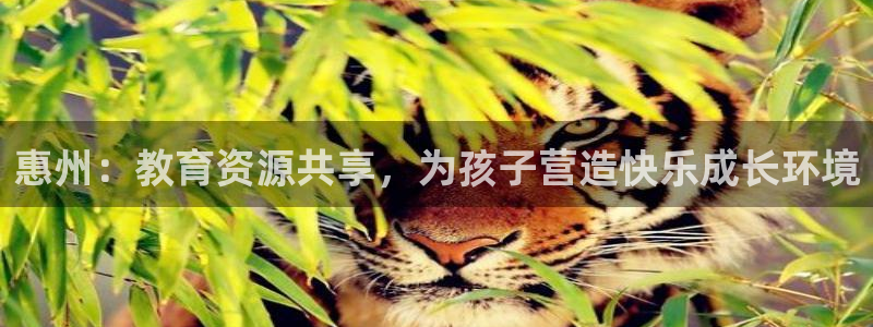FH至尊平台是什么平台