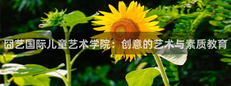 fh至尊吧百度贴吧