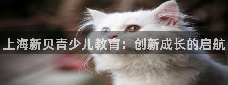 fh至尊平台如何提现