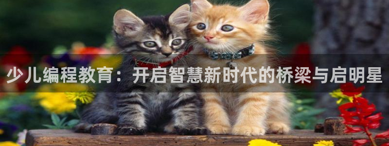 fh至尊什么意思