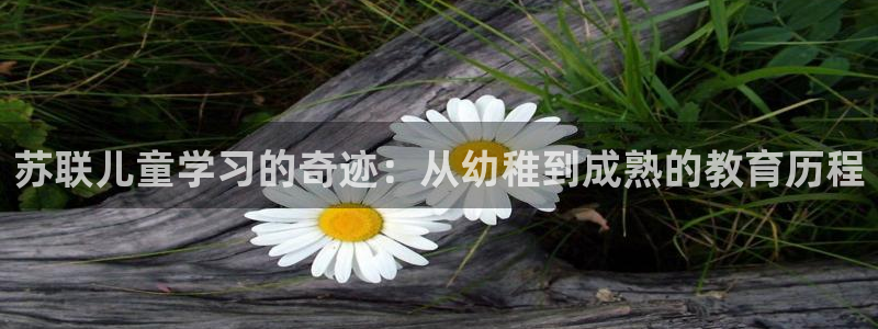 fh至尊在哪可以下载