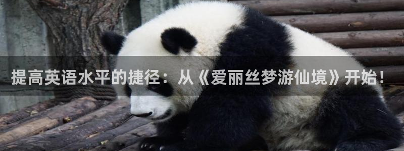 fh至尊平台怎么打不开了呢