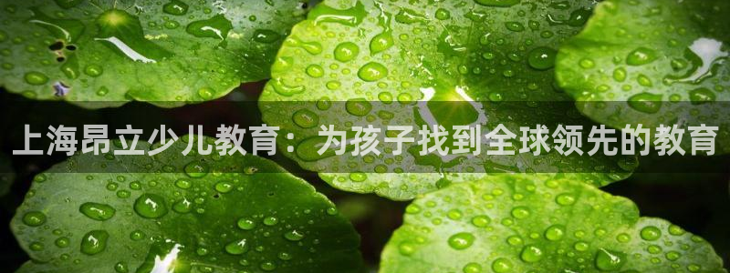 fh至尊平台APP