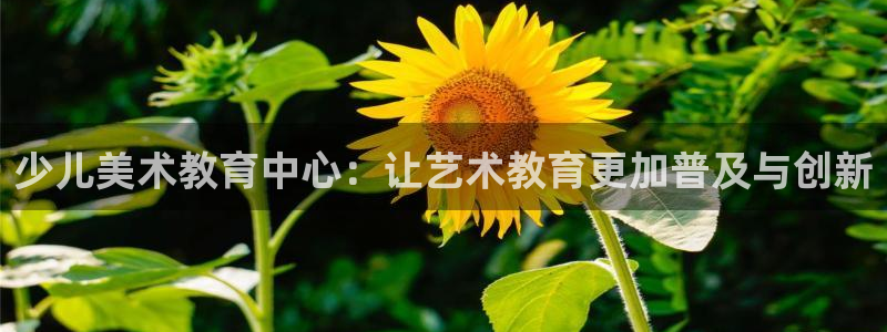 fh至尊游戏模式
