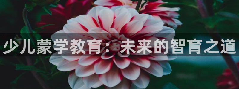 老凤凰改名FH至尊黑钱