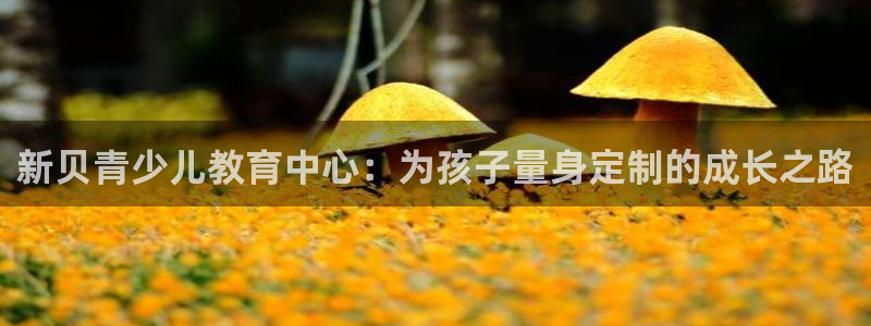 fh至尊提现不了