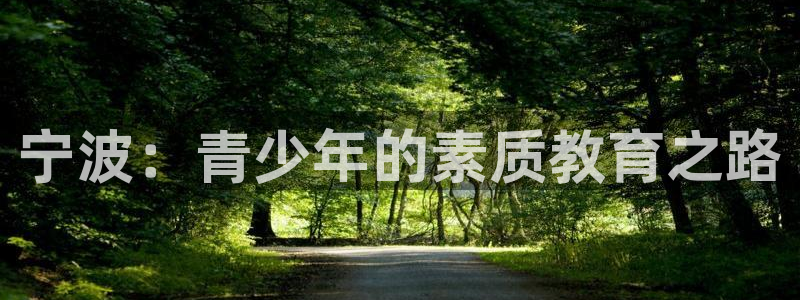 凤凰FH至尊