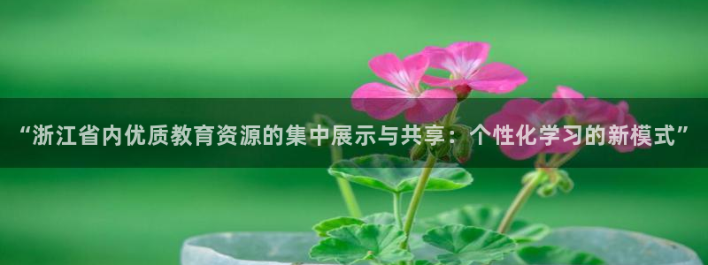 fh至尊游戏模式