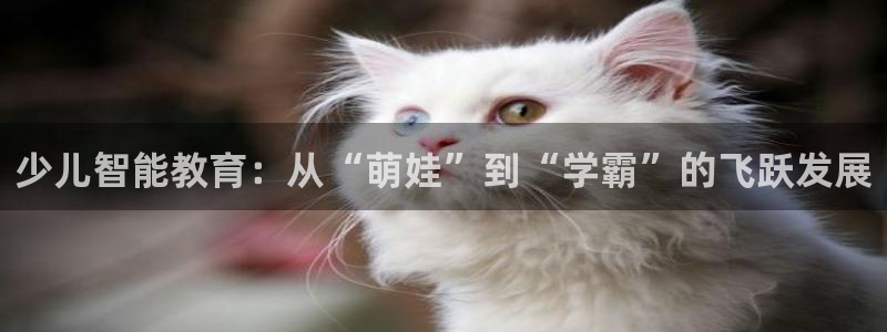FH至尊开户链接