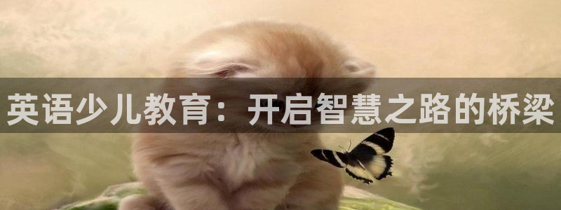 fh至尊是什么平台