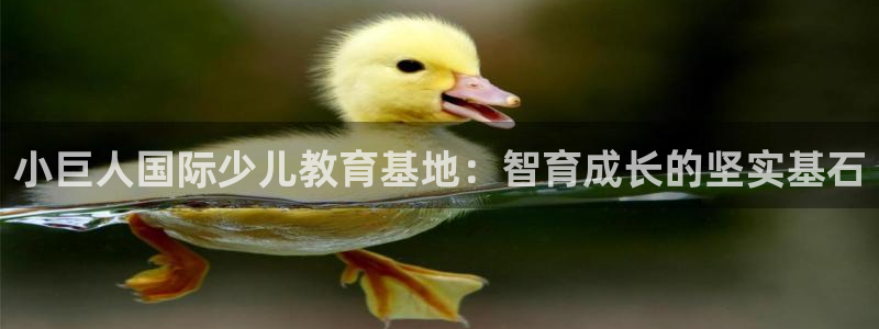 fh至尊平台网页地址