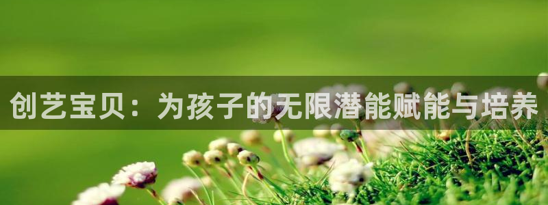 凤凰FH至尊