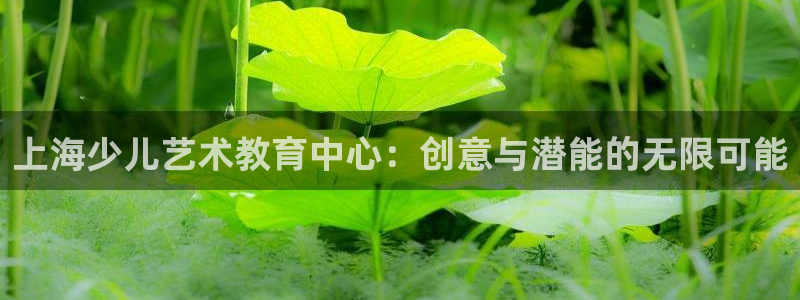 fh至尊凤凰消息的范本