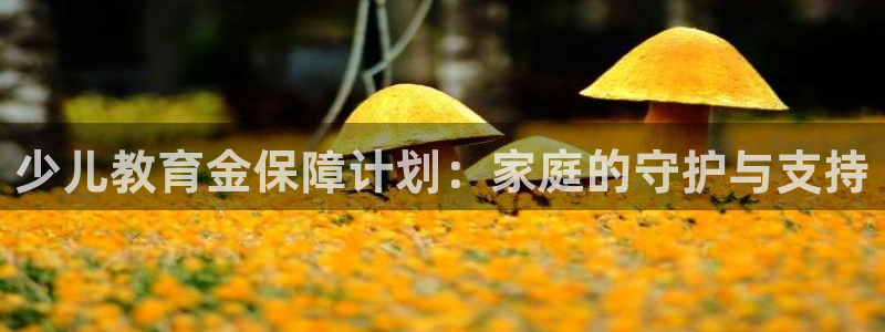 fh至尊是黑台子吗