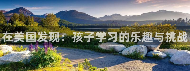 fh至尊普通登录