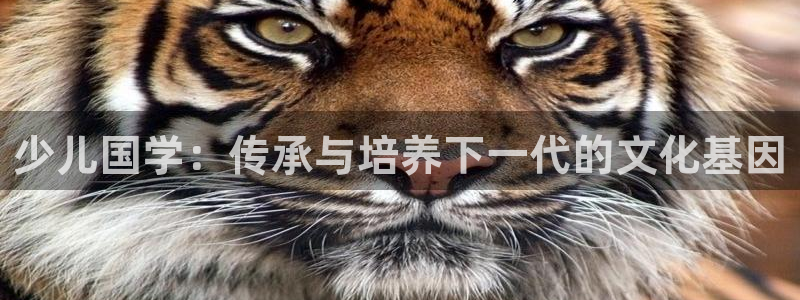 fh至尊凤凰是黑网