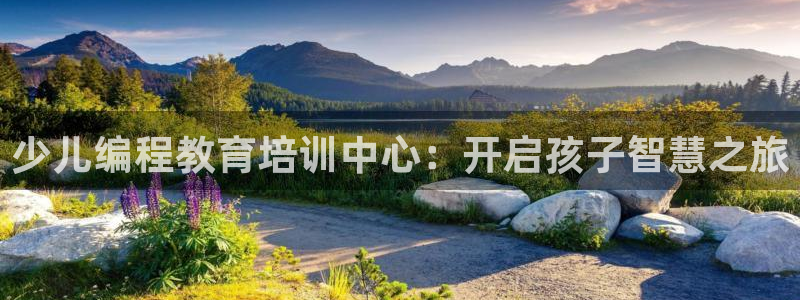 fh至尊为什么不更新了