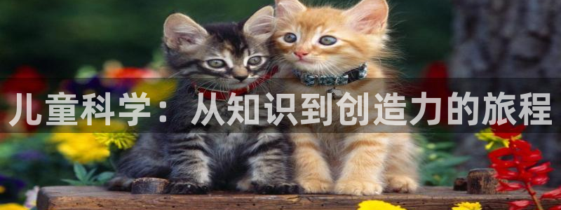 fh至尊平台多少年了