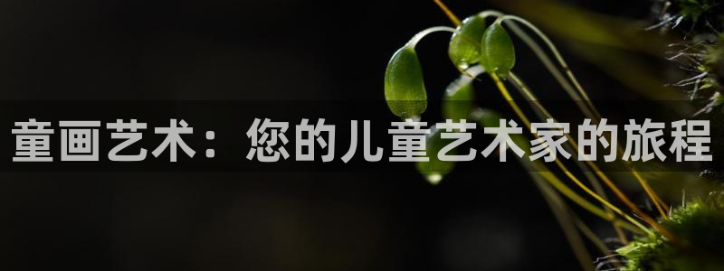 fh至尊平台下载