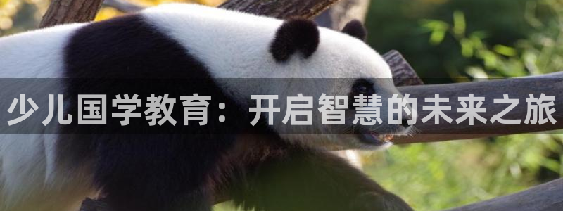 fh至尊什么意思