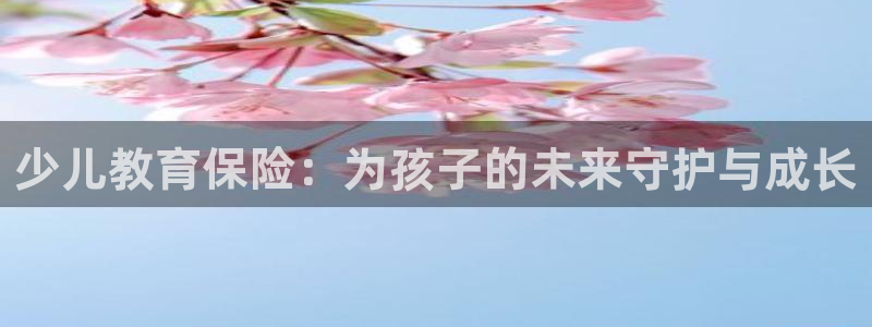 FH至尊隶属哪家公司