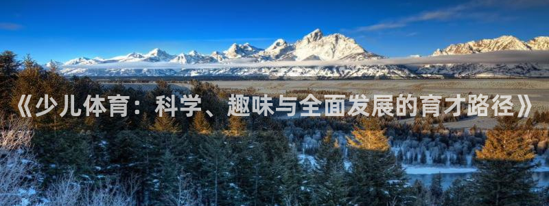 FH至尊平台怎么样