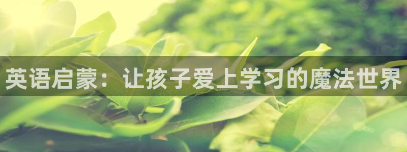 fh至尊平台正常登录