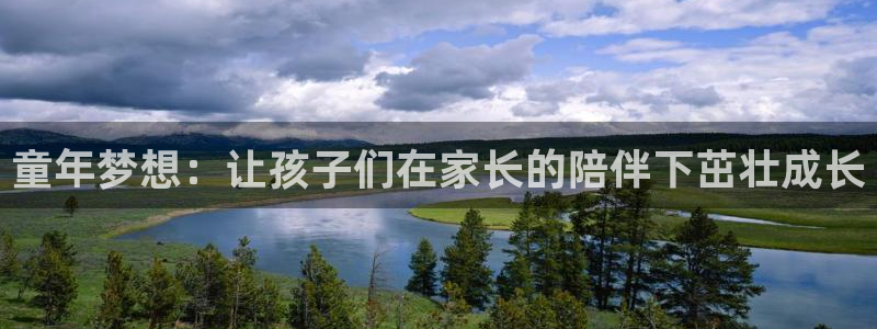 fh至尊正常登录