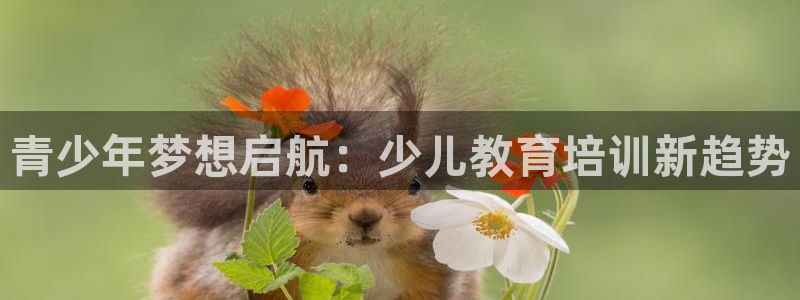 凤凰至尊FH正常登录