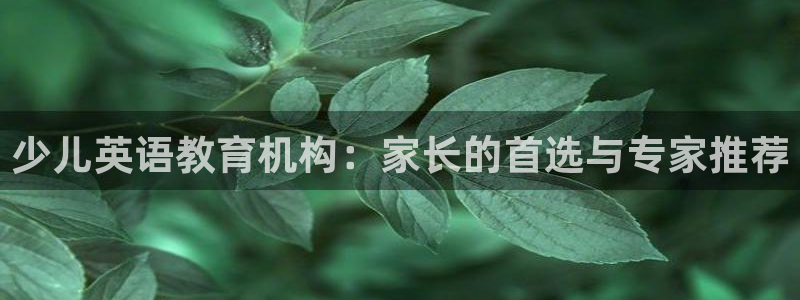 至尊FH
