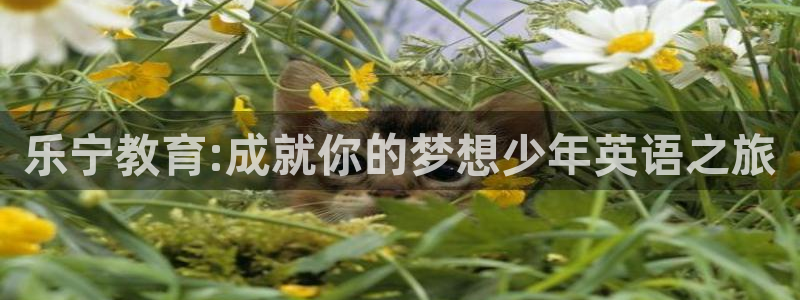 fh至尊游戏模式